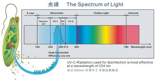 紫外频谱